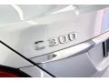 2020 Iridium Silver Metallic Mercedes-Benz C 300 Sedan  photo #30