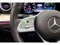 Marsala Brown/Espresso Brown Steering Wheel Photo for 2020 Mercedes-Benz CLS #146155950