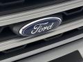 2020 Ford EcoSport SE Badge and Logo Photo