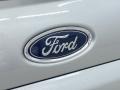 2020 Ford EcoSport SE Badge and Logo Photo