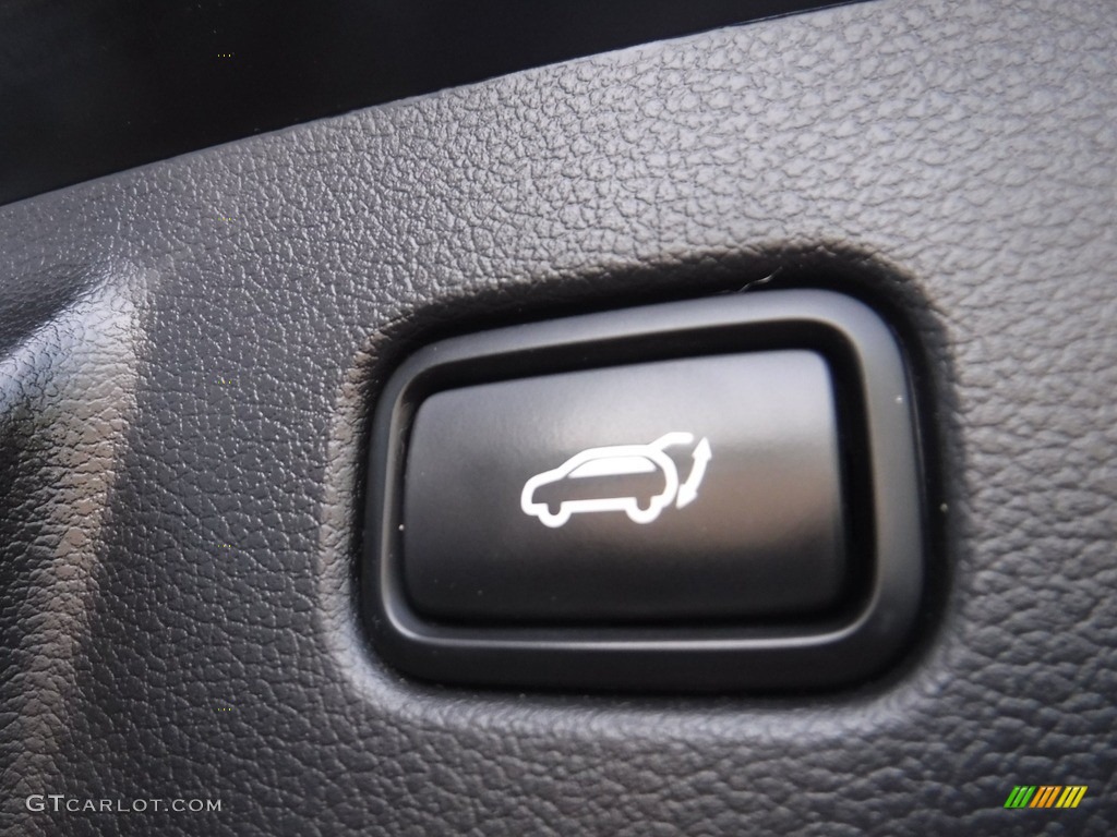 2020 Hyundai Palisade SEL AWD Controls Photo #146156349
