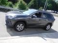 Magnetic Gray Metallic - RAV4 XLE AWD Hybrid Photo No. 15