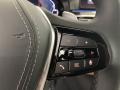 2023 BMW 5 Series Cognac Interior Steering Wheel Photo
