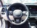 Snow White Pearl - Sorento Hybrid SX Prestige AWD Hybrid Photo No. 19