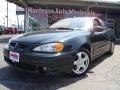 Polo Green Metallic - Grand Am GT Sedan Photo No. 1