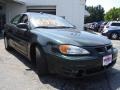 Polo Green Metallic - Grand Am GT Sedan Photo No. 7