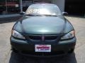Polo Green Metallic - Grand Am GT Sedan Photo No. 8