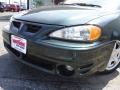 Polo Green Metallic - Grand Am GT Sedan Photo No. 9