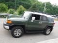 2014 Army Green Toyota FJ Cruiser 4WD  photo #15