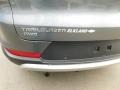 Satin Steel Metallic - TrailBlazer LT Photo No. 13