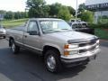 Pewter Metallic - C/K K1500 Regular Cab 4x4 Photo No. 13