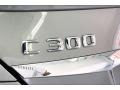 2015 Paladium Silver Metallic Mercedes-Benz C 300  photo #30
