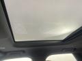 Caraway/Ebony Sunroof Photo for 2023 Land Rover Discovery #146186642