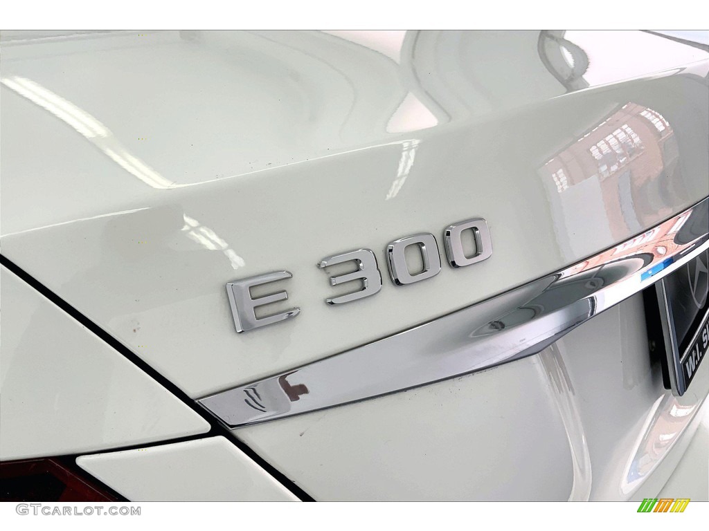 2019 Mercedes-Benz E 300 Sedan Marks and Logos Photo #146190873