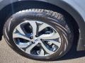 Ice Silver Metallic - Outback 2.5i Limited Photo No. 34