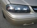 Sandstone Metallic - Impala  Photo No. 15