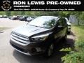 2019 Magnetic Ford Escape SEL 4WD #146140525