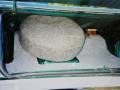 1974 Dodge Charger SE Trunk