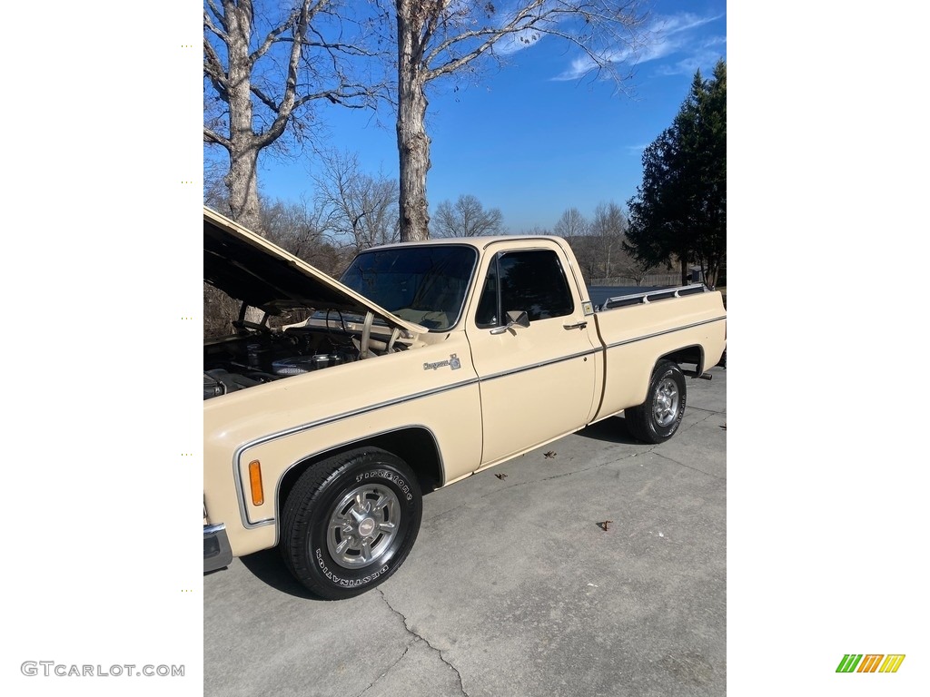 Santa Fe Tan 1978 Chevrolet C/K Truck C10 Cheyenne Regular Cab Exterior Photo #146213644