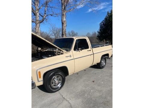 1978 Chevrolet C/K Truck C10 Cheyenne Regular Cab Data, Info and Specs