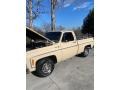 Santa Fe Tan 1978 Chevrolet C/K Truck C10 Cheyenne Regular Cab Exterior