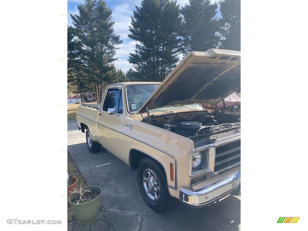 Santa Fe Tan 1978 Chevrolet C/K Truck C10 Cheyenne Regular Cab Exterior Photo #146213802