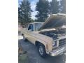 Santa Fe Tan 1978 Chevrolet C/K Truck C10 Cheyenne Regular Cab Exterior
