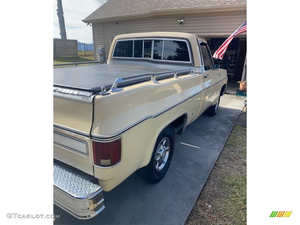 Santa Fe Tan 1978 Chevrolet C/K Truck C10 Cheyenne Regular Cab Exterior Photo #146213850