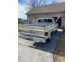 Santa Fe Tan 1978 Chevrolet C/K Truck C10 Cheyenne Regular Cab Exterior