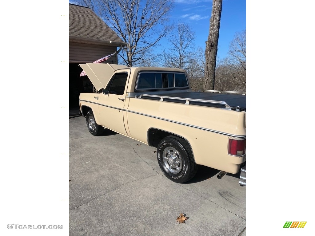 Santa Fe Tan 1978 Chevrolet C/K Truck C10 Cheyenne Regular Cab Exterior Photo #146213961