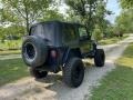 1999 Deep Amethyst Pearlcoat Jeep Wrangler SE 4x4  photo #9