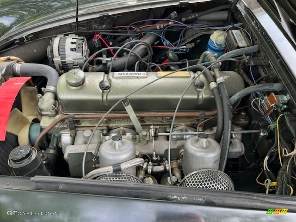 1965 Austin-Healey 3000 MK III BJ8 3.0 Liter OHV 12-Valve Inline 6 Cylinder Engine Photo #146217420