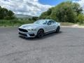 Fighter Jet Gray 2021 Ford Mustang Mach 1 Exterior