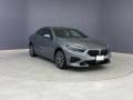 Skyscraper Grey Metallic 2022 BMW 2 Series 228i Gran Coupe Exterior