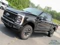 Agate Black Metallic - F250 Super Duty XLT Tremor Crew Cab 4x4 Photo No. 26