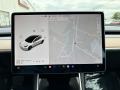 Black Navigation Photo for 2020 Tesla Model 3 #146241114