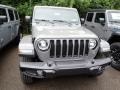 Sting-Gray - Wrangler Unlimited Sahara Altitude 4x4 Photo No. 10