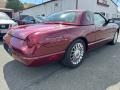 Merlot Metallic - Thunderbird Deluxe Roadster Photo No. 6