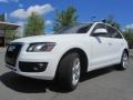 2009 Ibis White Audi Q5 3.2 Prestige quattro  photo #6