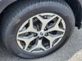 Magnetite Gray Metallic - Forester 2.5i Premium Photo No. 20