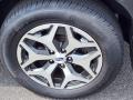 Magnetite Gray Metallic - Forester 2.5i Premium Photo No. 29