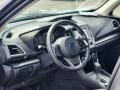 Magnetite Gray Metallic - Forester 2.5i Premium Photo No. 32