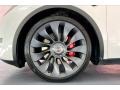 2020 Tesla Model Y Long Range Wheel and Tire Photo