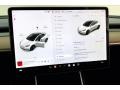 Controls of 2020 Model Y Long Range