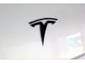  2020 Model Y Long Range Logo
