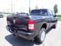 Granite Crystal Metallic - 2500 Big Horn Crew Cab 4x4 Photo No. 5