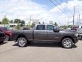 Granite Crystal Metallic - 2500 Big Horn Crew Cab 4x4 Photo No. 7
