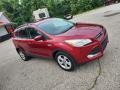 2013 Ruby Red Metallic Ford Escape SE 1.6L EcoBoost  photo #20