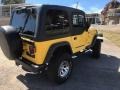 2004 Solar Yellow Jeep Wrangler X 4x4  photo #5