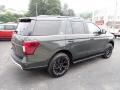 Forged Green Metallic 2022 Ford Expedition Timberline 4x4 Exterior